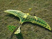 pterodactyl